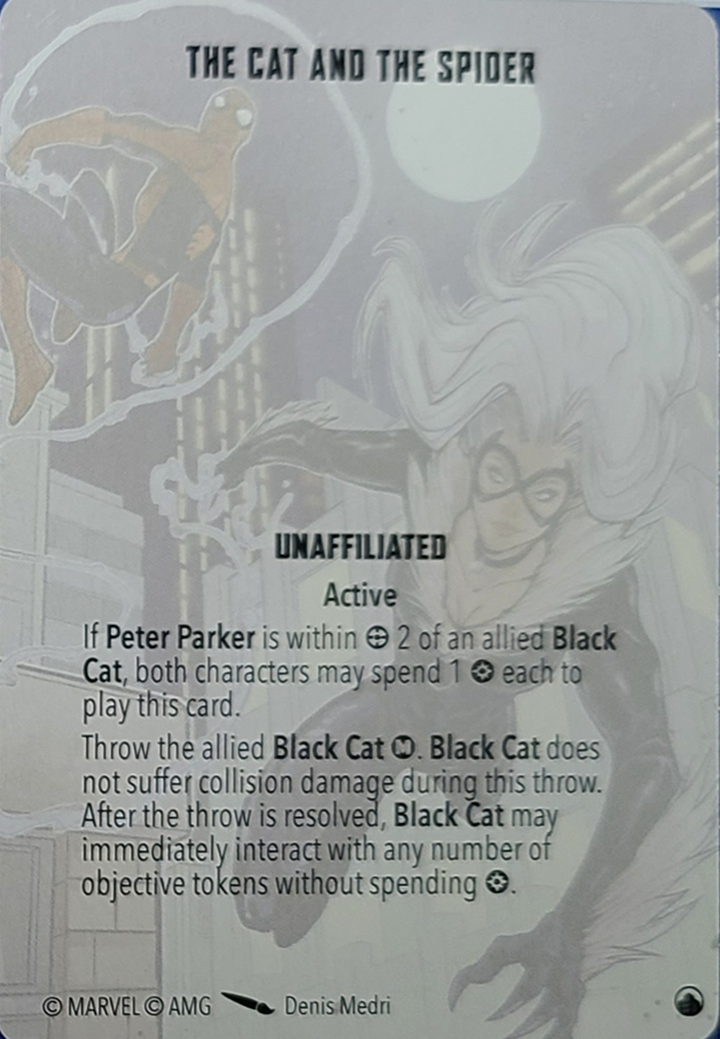 The Cat and the Spider